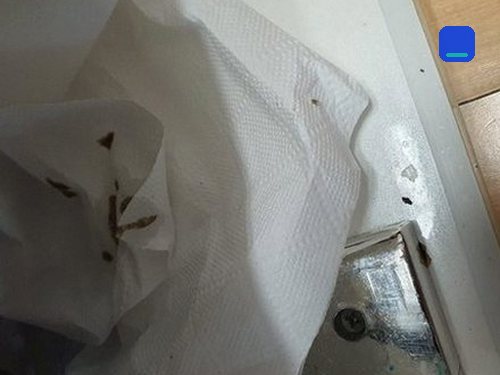 구로동 하수구막힘 빌라 싱크대 역류 배관 정비